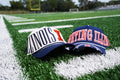 Illinois Hat